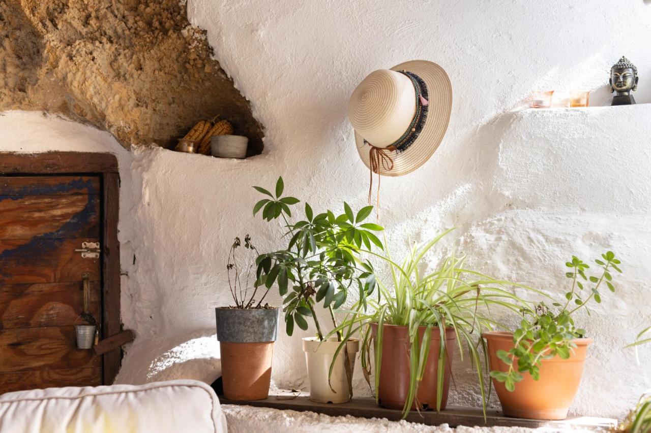 Casa Cueva Gaspara Arico Dış mekan fotoğraf