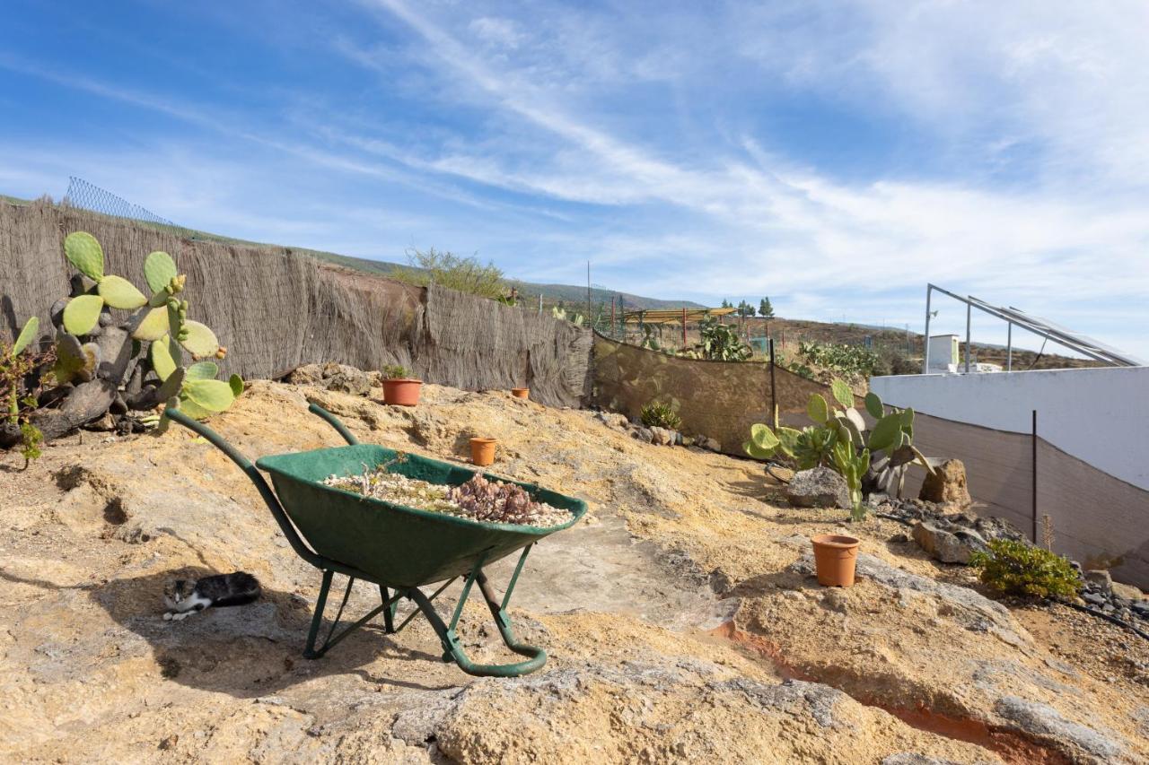 Casa Cueva Gaspara Arico Dış mekan fotoğraf
